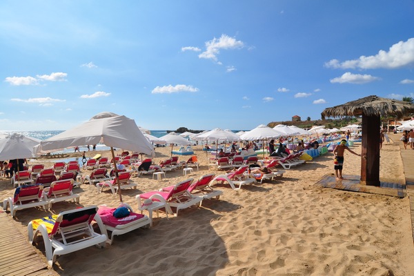 Edde Sands on Sunday